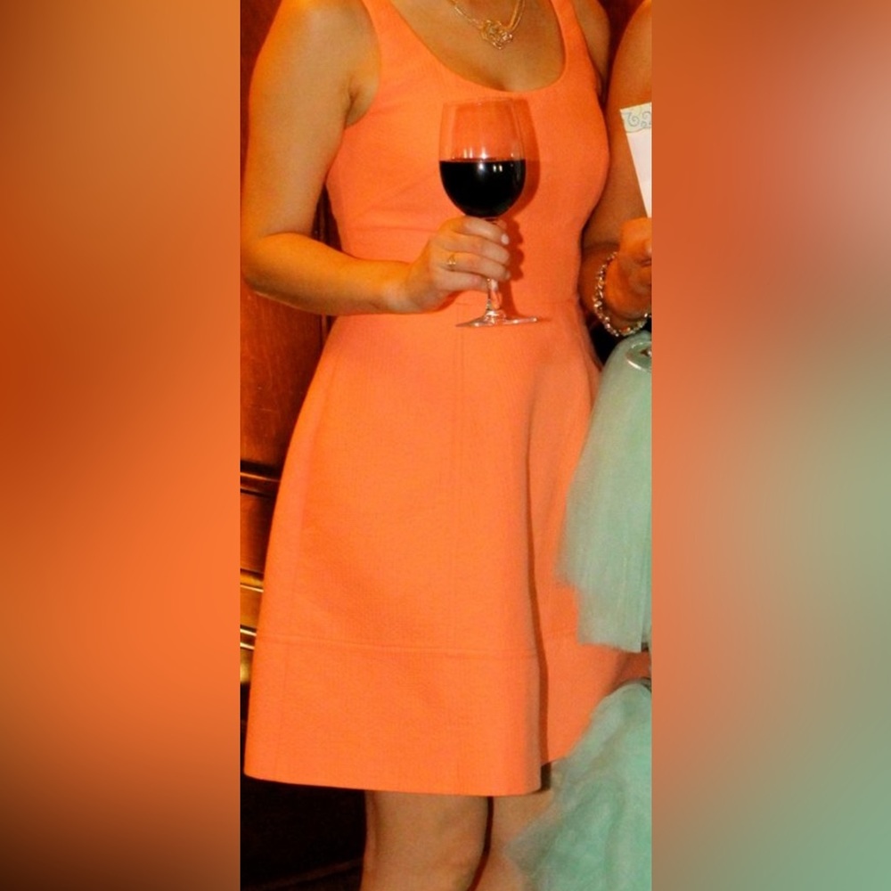 Karen Millen dress